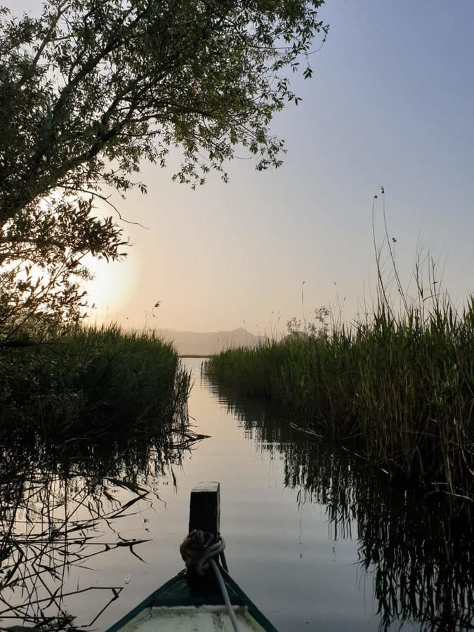 Апартаменты Apartments Miona Вирпазар