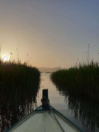 Апартаменты Apartments Miona Вирпазар Апартаменты-студио-6