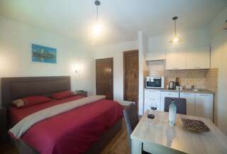 Апартаменты Apartments Miona Вирпазар Апартаменты-студио-27